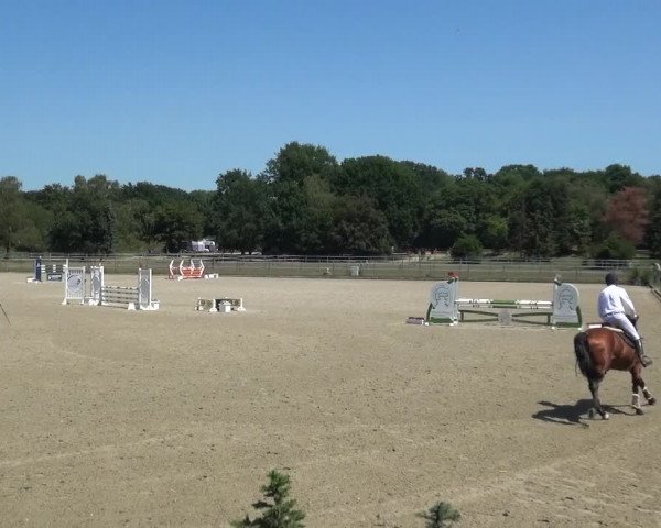 Reitturnier Langenfeld - Gut Langfort 2020