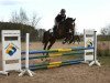 jumper Corelli 26 (Oldenburg show jumper, 2008, from Chambertin)