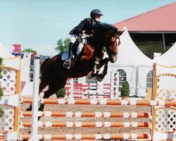 jumper Cara-Luanda (Oldenburg show jumper, 2005, from Cellestial)