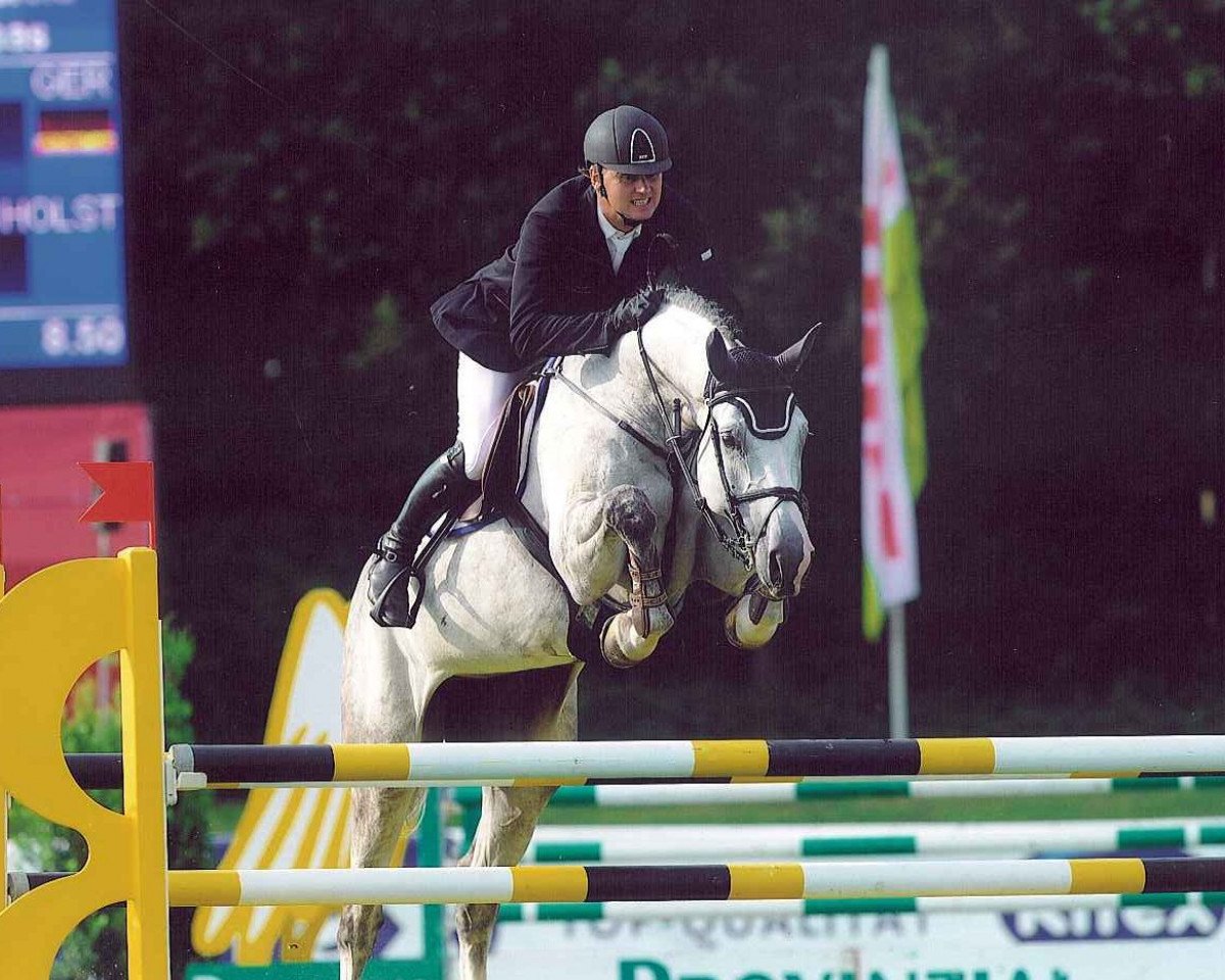 Zuchtstute Crazy Angel (Holsteiner, 2003, von Corrado I)