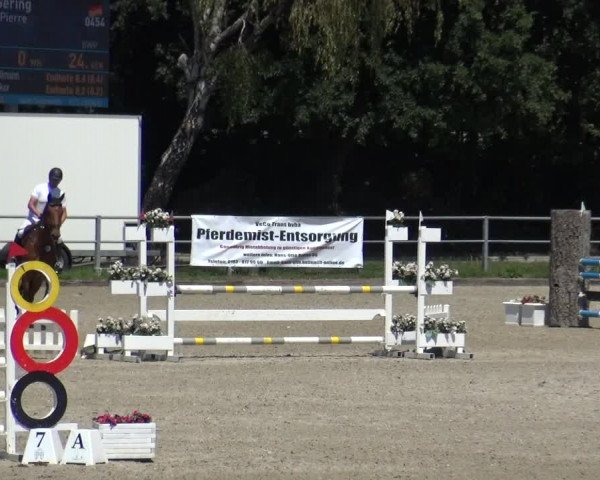 Reitturnier Langenfeld - Gut Langfort 2020