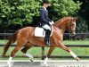 dressage horse Feuer und Flamme 3 (Hanoverian, 2011, from Feuerspiel)