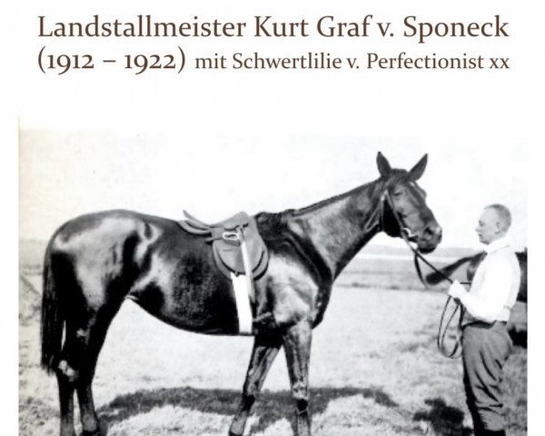 broodmare Schwertlilie (Trakehner, 1906, from Perfectionist xx)