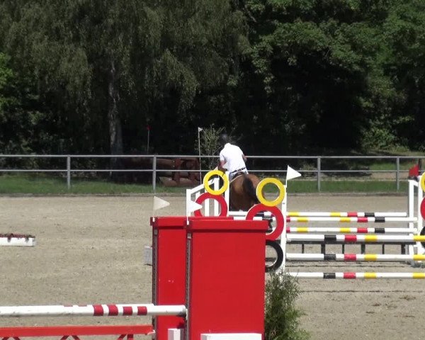 Reitturnier Langenfeld - Gut Langfort 2020