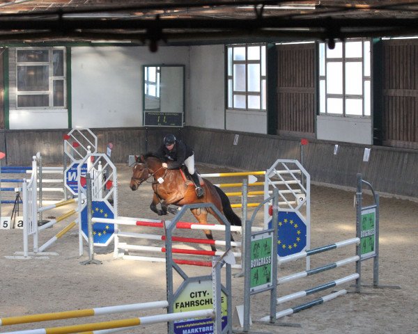 Springpferd Narthan (Deutsches Sportpferd, 2008, von Nikidam du Chateau)