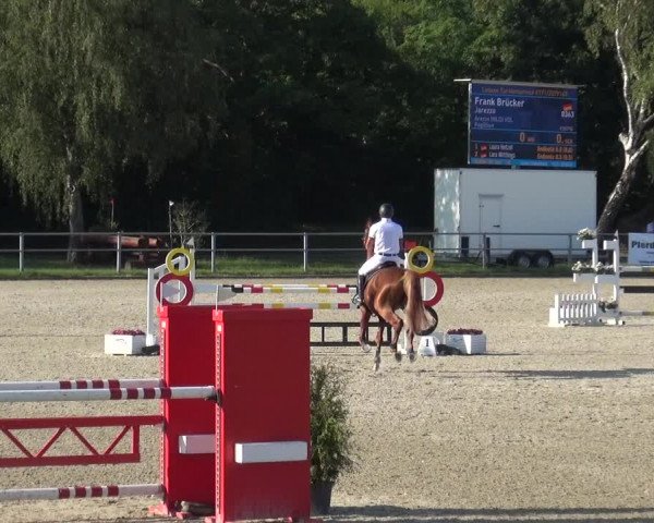 Reitturnier Langenfeld - Gut Langfort 2020