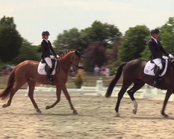 Reitturnier Schülp / Rendsburg 2020