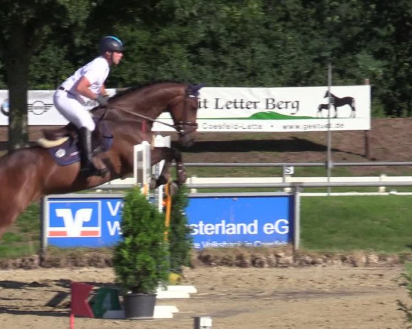 Reitturnier Coesfeld/Lette 2020