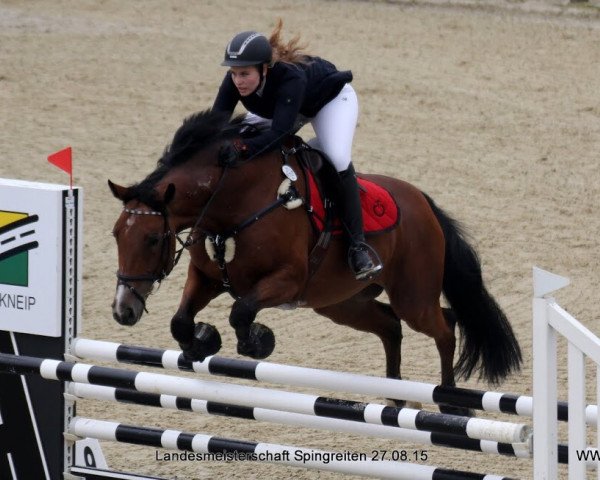 jumper Rodrigo W (Oldenburg, 2003, from Rosario)