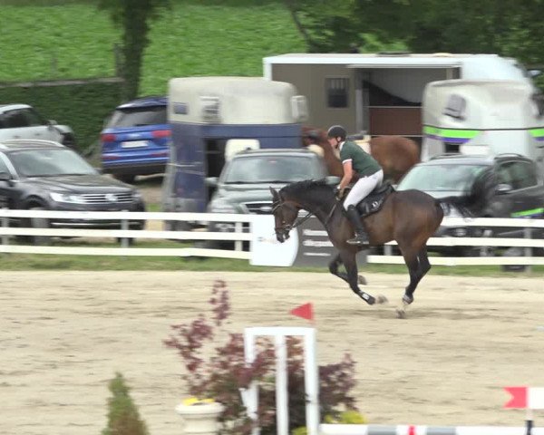 Reitturnier Aesch (Neftenbach) 2020