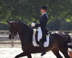 dressage horse Vradin (KWPN (Royal Dutch Sporthorse), 2002, from Gribaldi)