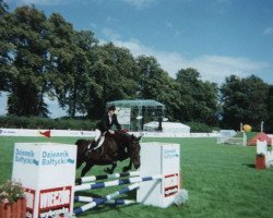 broodmare Polonia (Polish Warmblood, 1986, from Nafar 9656)