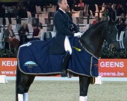 dressage horse Coco Chanel (KWPN (Royal Dutch Sporthorse), 2007, from Sandreo)