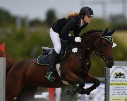 broodmare Nibelungenfee (German Riding Pony, 2005, from Nibelungenheld)