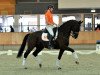 dressage horse Zep (KWPN (Royal Dutch Sporthorse), 2004, from Oo-Seven)