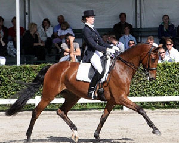 dressage horse Whoopydoo (KWPN (Royal Dutch Sporthorse), 2002, from Lord Sinclair I)