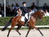 dressage horse Whoopydoo (KWPN (Royal Dutch Sporthorse), 2002, from Lord Sinclair I)