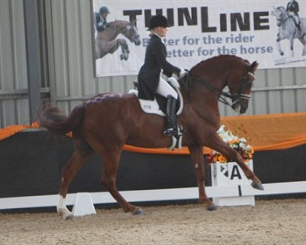 dressage horse Luxor 118 (Hanoverian, 2002, from Londonderry)