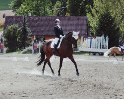 jumper Ballantines Finest (KWPN (Royal Dutch Sporthorse), 2006, from VDL Empire)