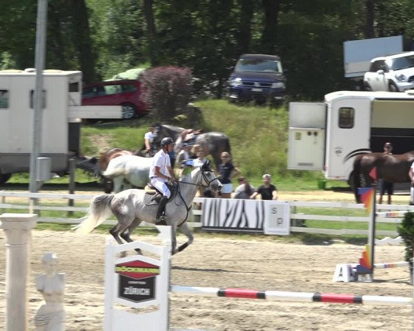 Reitturnier Aesch (Neftenbach) 2020