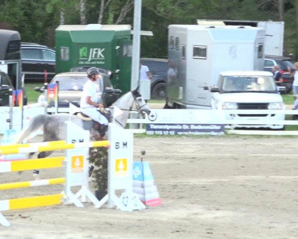 Reitturnier Aesch (Neftenbach) 2020