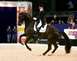 dressage horse Toots (KWPN (Royal Dutch Sporthorse), 2000, from Jazz)