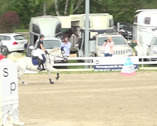 Reitturnier Aesch (Neftenbach) 2020