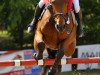 Pferd Bocelli van Paemel (Belgisches Warmblut, 2001, von Sheyenne de Baugy)