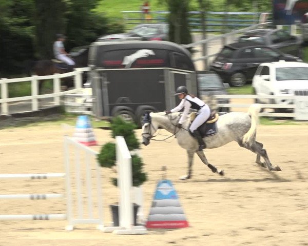 Reitturnier Aesch (Neftenbach) 2020