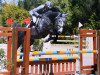 jumper Fidel Castro van Paemel (Belgian Warmblood, 2005, from Cicero Z van Paemel)