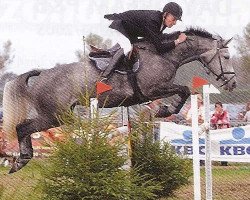 broodmare Vilja van de Mullegracht (Belgian Warmblood, 1998, from Darco)