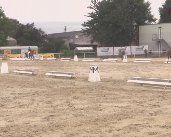 Reitturnier Hünxe-Bruckhausen 2020