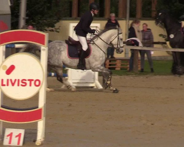 Reitturnier Everswinkel 2021