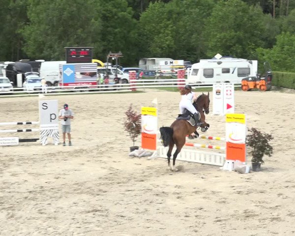 Reitturnier Aesch (Neftenbach) 2020