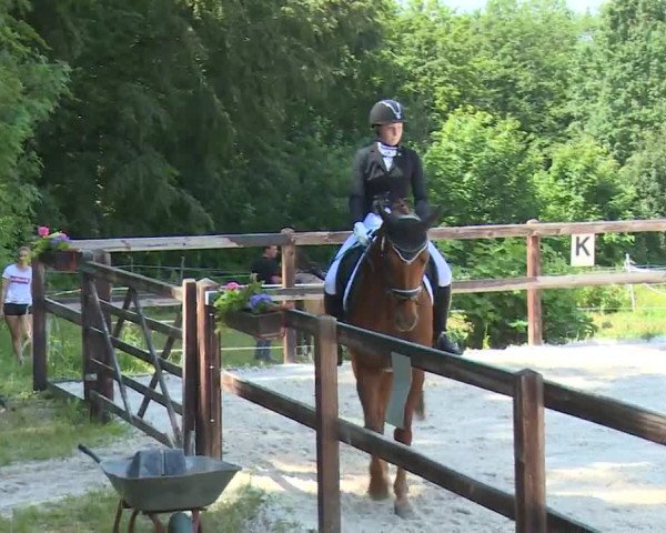 Reitturnier Birkenreuth/Ofr. 2020