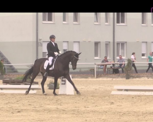 Reitturnier Hünxe-Bruckhausen 2020