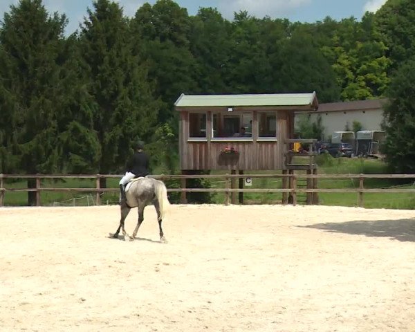 Reitturnier Birkenreuth/Ofr. 2020