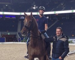 dressage horse Glock's Flirt (Swiss Warmblood, 2001, from Florestan I)