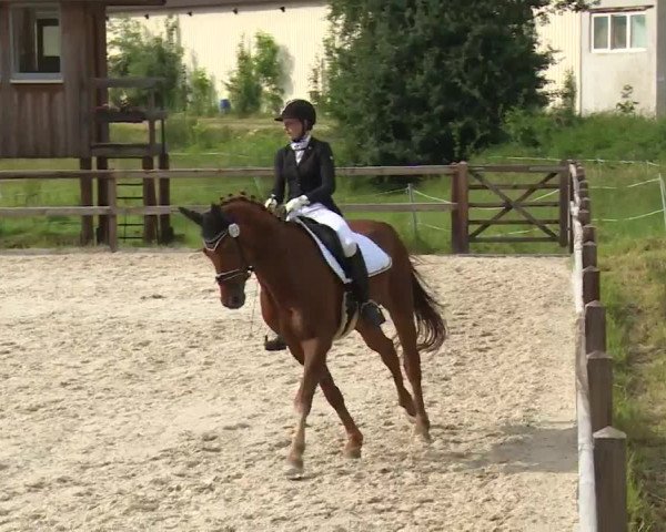 Reitturnier Birkenreuth/Ofr. 2020
