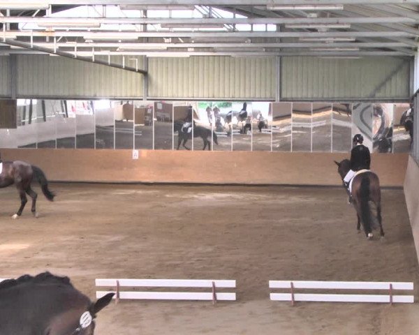 Reitturnier Reitanlage Birkenhof, Perl-Sinz 2020