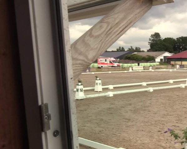 Reitturnier Schülp / Rendsburg 2020