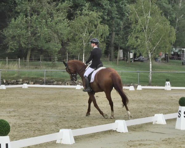 Reitturnier Reitanlage Birkenhof, Perl-Sinz 2020