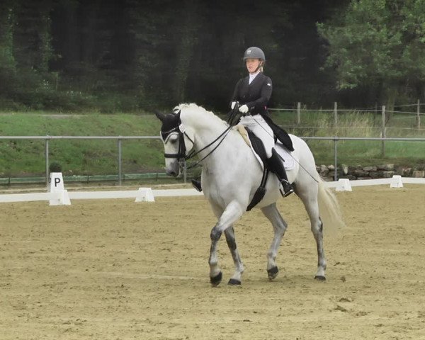 Reitturnier Reitanlage Birkenhof, Perl-Sinz 2020