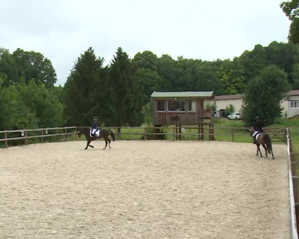 Reitturnier Birkenreuth/Ofr. 2020