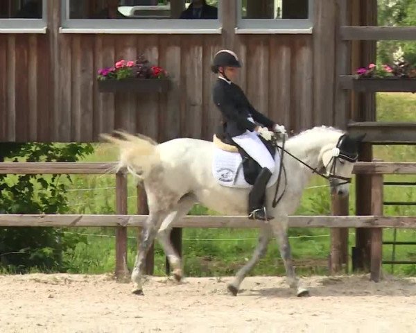 Reitturnier Birkenreuth/Ofr. 2020