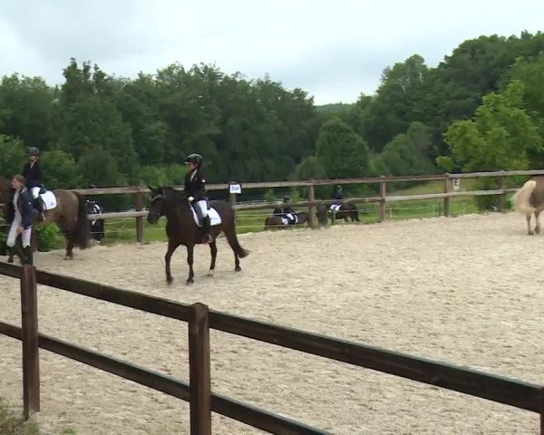 Reitturnier Birkenreuth/Ofr. 2020
