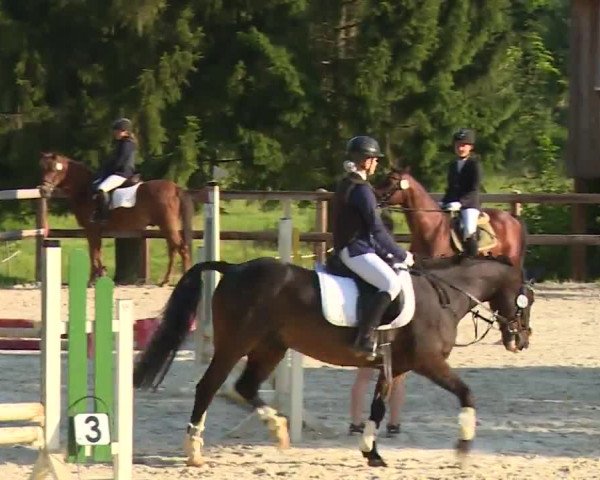 Reitturnier Birkenreuth/Ofr. 2020