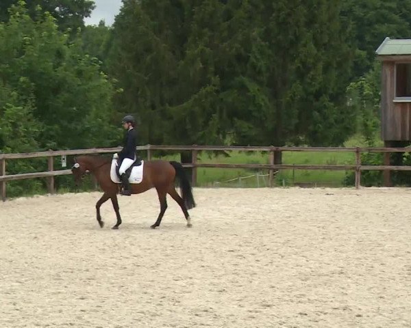 Reitturnier Birkenreuth/Ofr. 2020
