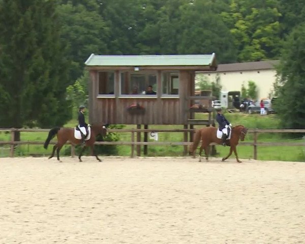 Reitturnier Birkenreuth/Ofr. 2020