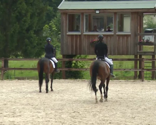 Reitturnier Birkenreuth/Ofr. 2020